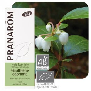 Pranarom HE Gaulthérie couchée (Gaultheria procumbens) - 10 ml