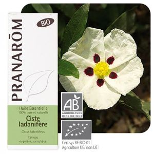 Pranarom HE Ciste ladanifère BIO (Citrus ladaniferus) - 5 ml