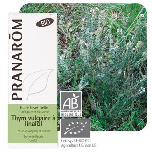 Pranarom HE Thym à linalol BIO (Thymus vulgaris linaloliferum) - 5 ml
