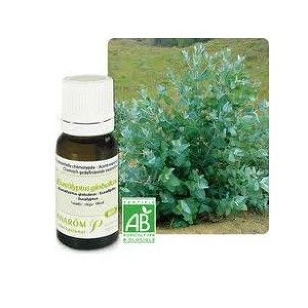 Pranarom HE Eucalyptus globuleux Bio (Eucalyptus globulus) - 10 ml