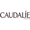 Caudalie Stick Inv Haute Prot Spf50 15G