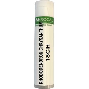 Rhododendron chrysanthum 18ch dose 1g rocal