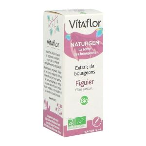 BOURGEONS FIGUIER VITAFLOR BIO Solution buvable, complément alimentaire à base de plantes, fl 15 ml