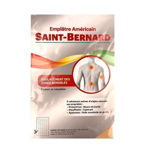 SAINT-BERNARD EMPLATRE POCHE GRAND MODELE 100 G