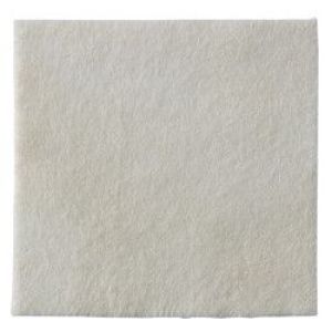 BIATAIN ALGINATE 10X10CM 
Biatain® Alginate - Boîte de 10 pansements à base d'alginate et CMC - 10 x