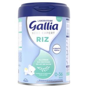 GALLIA BEBE EXPERT RIZ Denrée alimentaire destinée à des fins médicales spéciales, bt 800 g