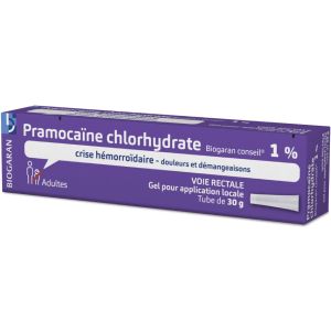 Pramocaine Chlorhydrate Biogaran Conseil 1% Gel Pour Application Locale B/30