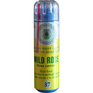 Kosmeo Eglantier/Wild Rose 130 granules