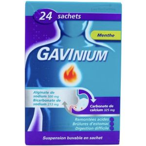 Gavinium Suspension Buvable En Sachet B/24