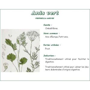 ANIS VERT D'ESPAGNE IPHYM POUDRE Poudre d'anis vert d'Espagne, sac 1 Kg