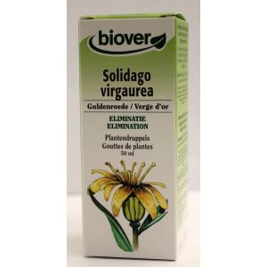 Biover Solidago Virgaurea (Verge d'Or) BIO - 50 ml