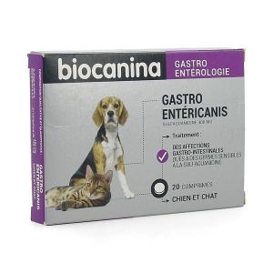 Gastroentericanis 20 Comprimes