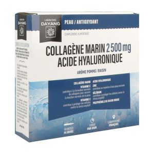 Dayang Collagène marin Acide hyaluronique - 14 doses