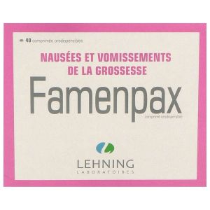 FAMENPAX comprimé orodispersible B/40