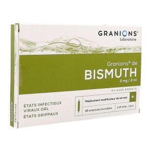 Granions De Bismuth 2 Mg/2 Ml Solution Buvable B/10