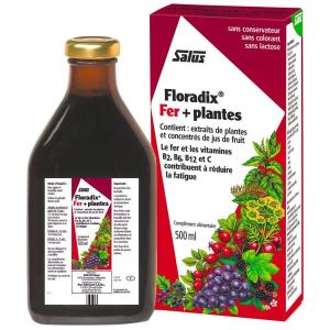 Salus Floradix fer + plantes - flacon 500 ml