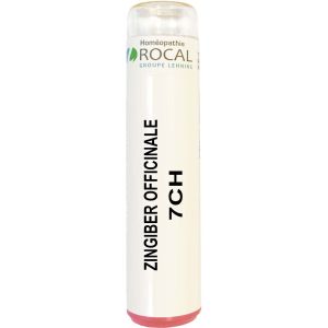 Zingiber officinale 7ch tube granules 4g rocal
