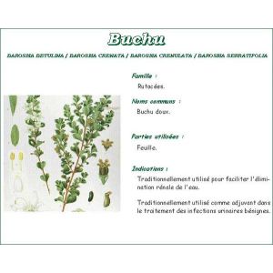 Iphym Buchu Fleur Entiere Plante 250 G 1