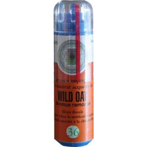 Kosmeo Fol Avoine/Wild Oat 130 granules