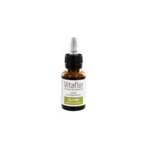 Vitaflorbio Olivier Liquide Flacon 153.5*3.5*9 Ml 1