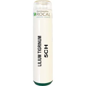 Lilium tigrinum 5ch tube granules 4g rocal