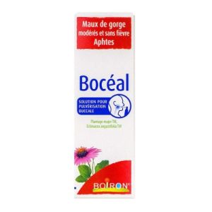 Boceal Solution Pour Pulverisation Buccale 1 Flacon Pulverisateur (Aluminium) De 20 Ml Muni D'Une Pompe (Pe) Et D'Un Embout Buccal (Pe/Pp)