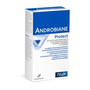 ANDROBIANE BIEN ETRE MASCULIN CAPSULE BT 100
