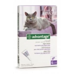 Advantage 80 Pour Chat Et Lapin (Solution Cutanee Pour Depot) Pipette 0,8 Ml 4