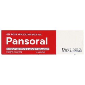 Pansoral Gel Pour Application Buccale 1 Tube(S) Polyethylene De 15 G