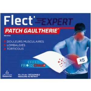 PATCH FLECT EXP GAULTHERIE X5