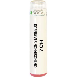 Orthosiphon stamineus 7ch tube granules 4g rocal