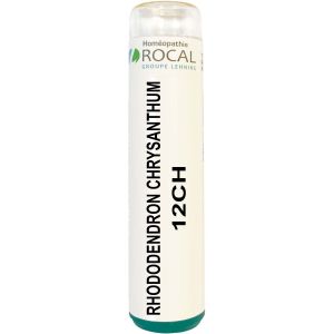 Rhododendron chrysanthum 12ch tube granules 4g rocal