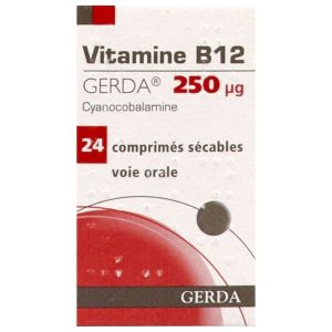 Vitamine B12 Gerda 250 Microgrammes Comprime Secable B/24