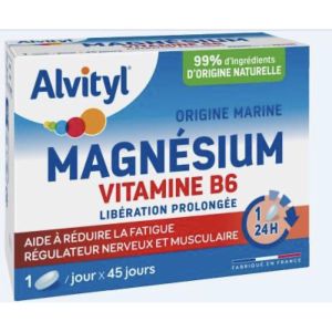 ALVITYL LOT DE 2 MAGNESIUM VITAMINE B6 LIBERATION PROLONGEE - REF 602805 COMPRIME BOITE PROMO 2