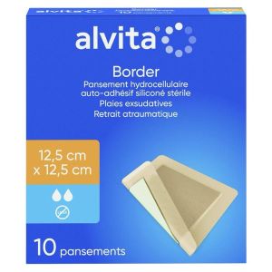 ALVITA PANS HYDROC 12,5X12,5CM 10