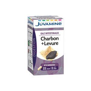 Juvamine Charbon Levure Gaz Intestinaux Gelule Pilulier 45