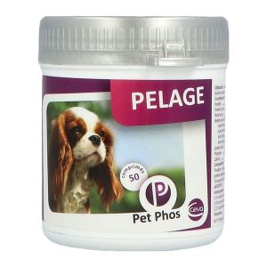 Pet-Phos Pelage Chien Comprime 50