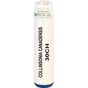 Collinsonia canadensis 30ch tube granules 4g rocal