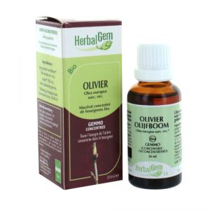 HerbalGem Olivier BIO - 30 ml