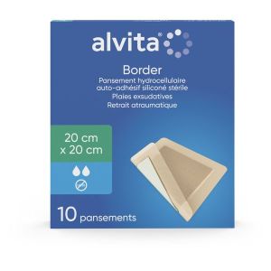 ALVITA PANS HYDROCEL 20X20CM 10