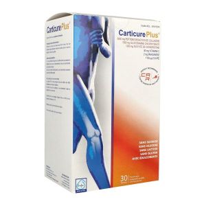 Carticure Plus Poudre Sachet 30