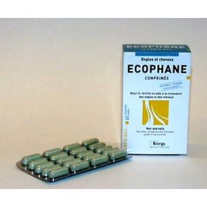Ecophane Comprime 60