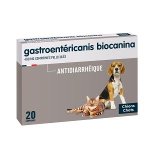 Gastroentericanis 20 Comprimes