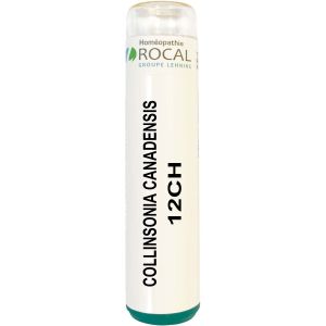 Collinsonia canadensis 12ch tube granules 4g rocal