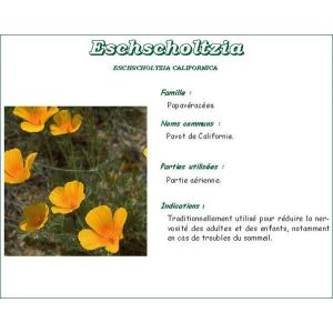 Iphym Eschscholtzia Californica Plante Coupee 100 G 1