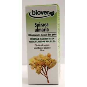 Biover Spiraea Ulmaria (Reine des Près) BIO - 50 ml