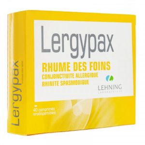 LERGYPAX comprimé orodispersible B/40