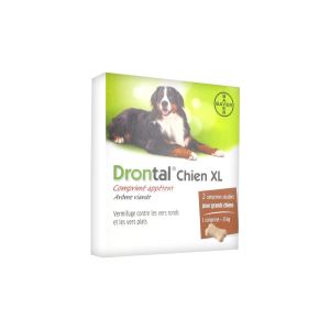 Drontal chien xl cpr secab bt2