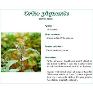 Iphym Ortie Piquante Feuille Coupee Plante 100 G 1