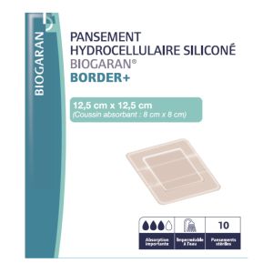 Bgr B Pans Hydro 12,5X12,5Cm10
